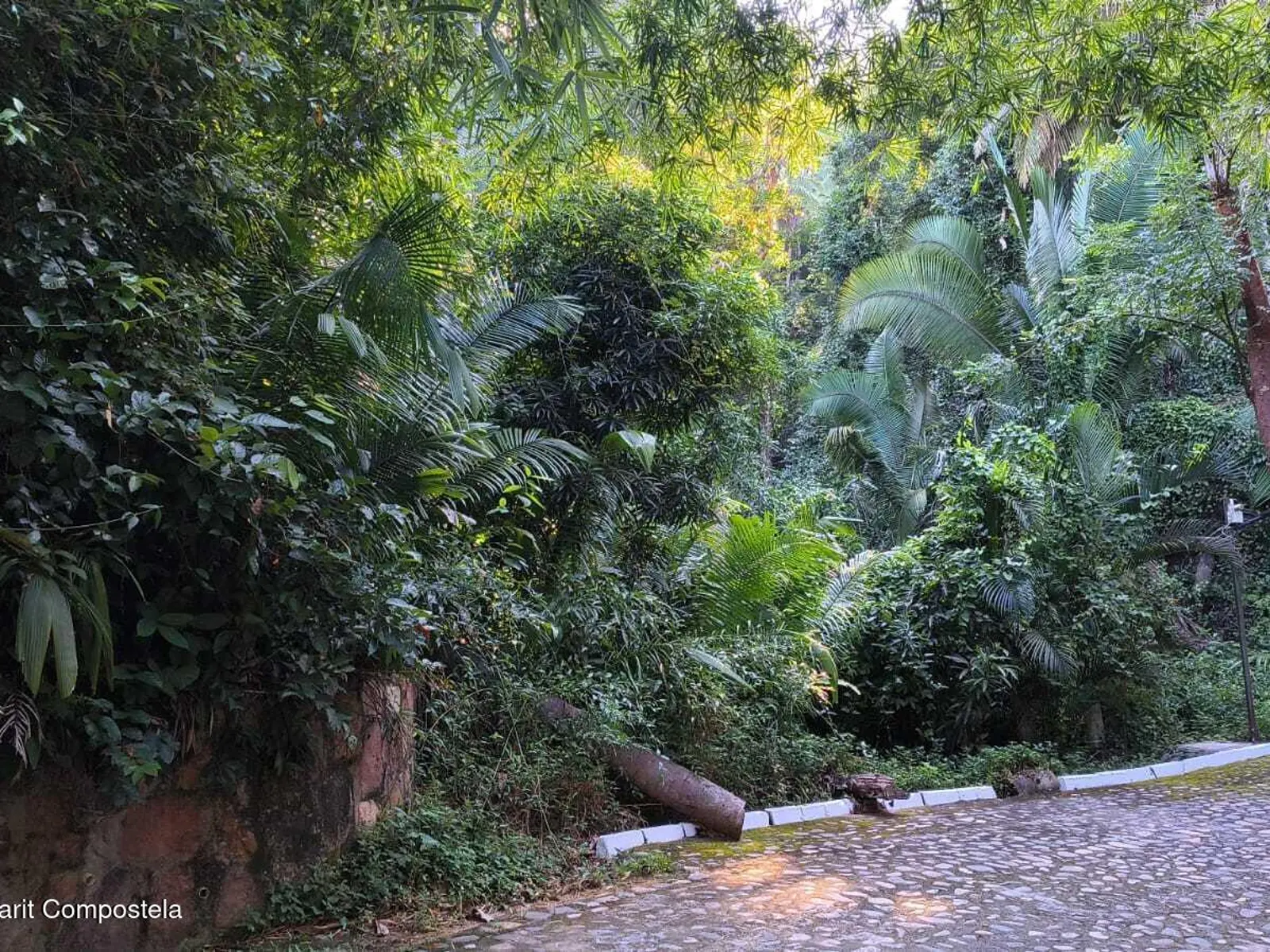 Lote 29 San Xoaquín