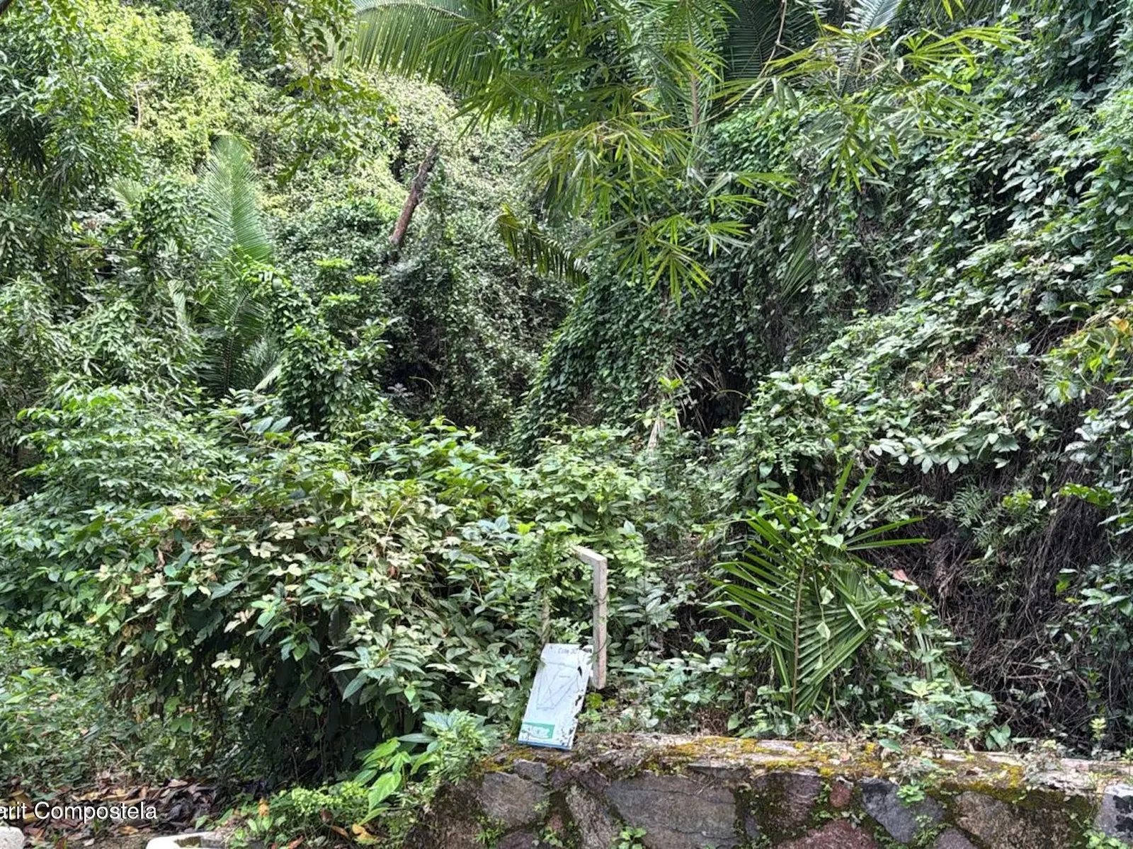 30 LOTE SAN XOAQUIN