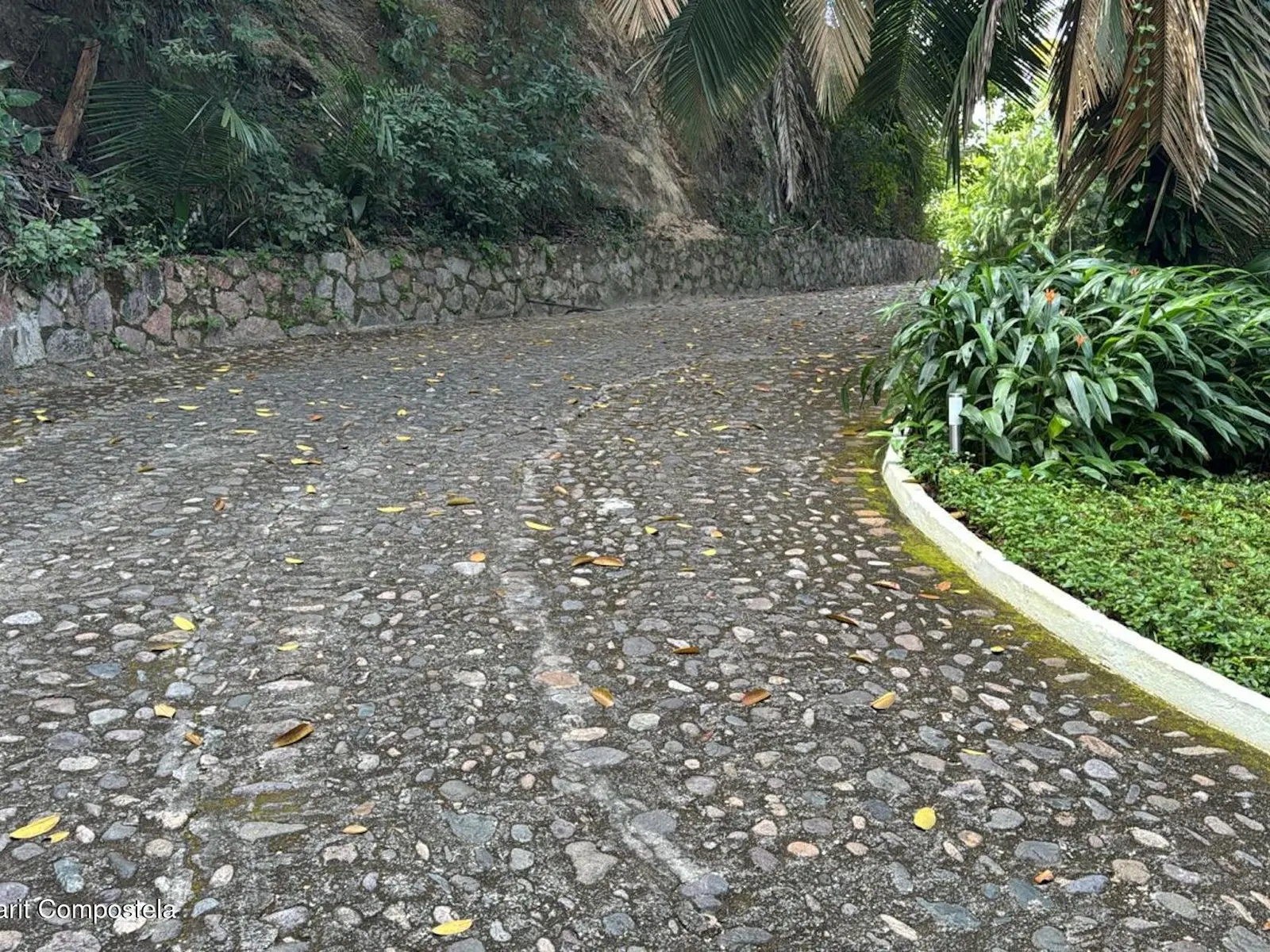 30 LOTE SAN XOAQUIN