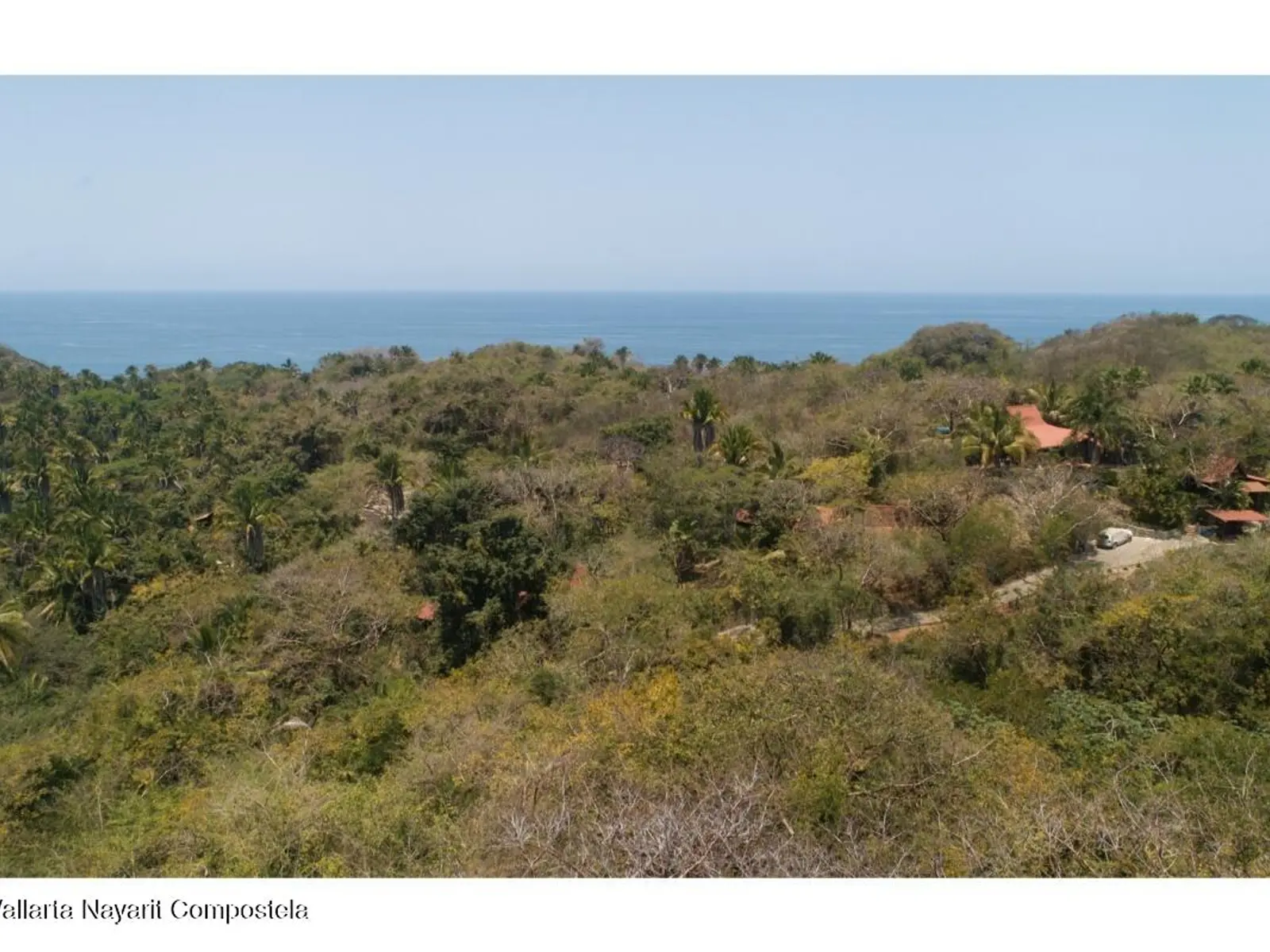 SELVA DEL MAR