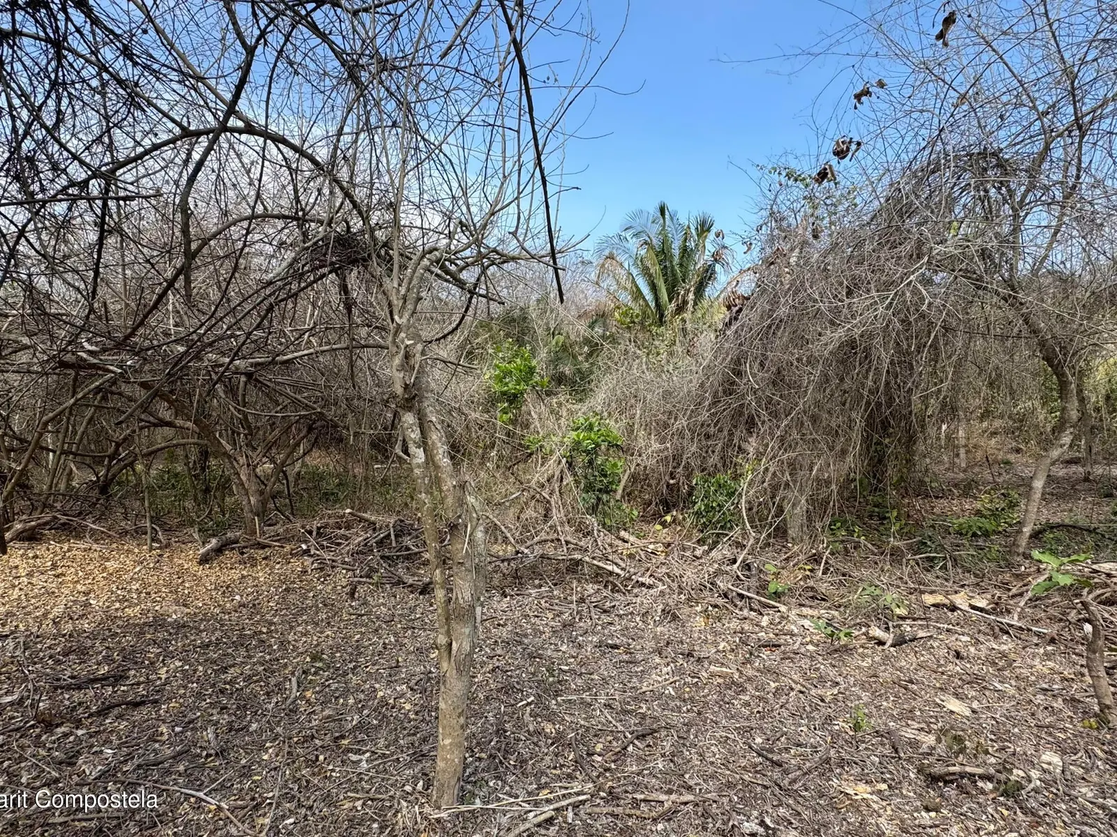 Lote 11, poligono 5 Dos Mares