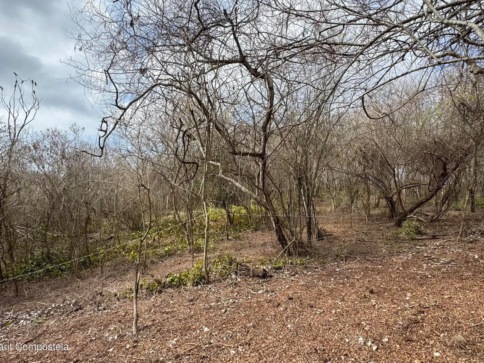 Lote 11, poligono 6 Dos Mares