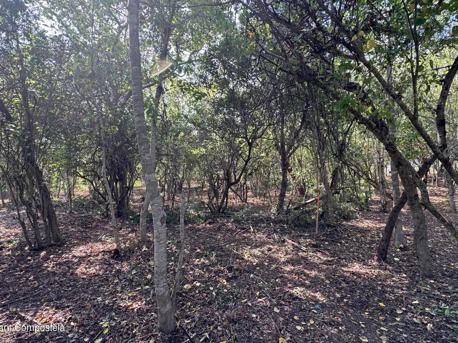 Lote 5, poligono 5 Dos Mares