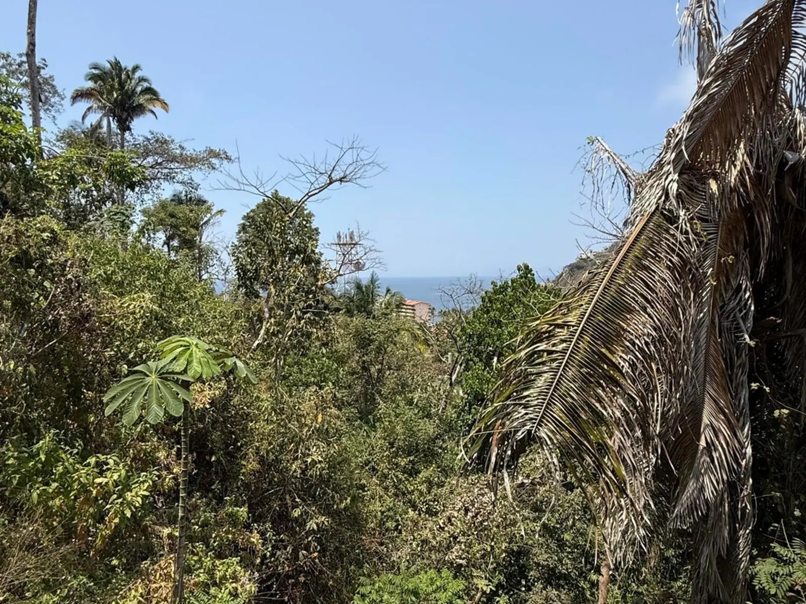 Lomas del Pacifico