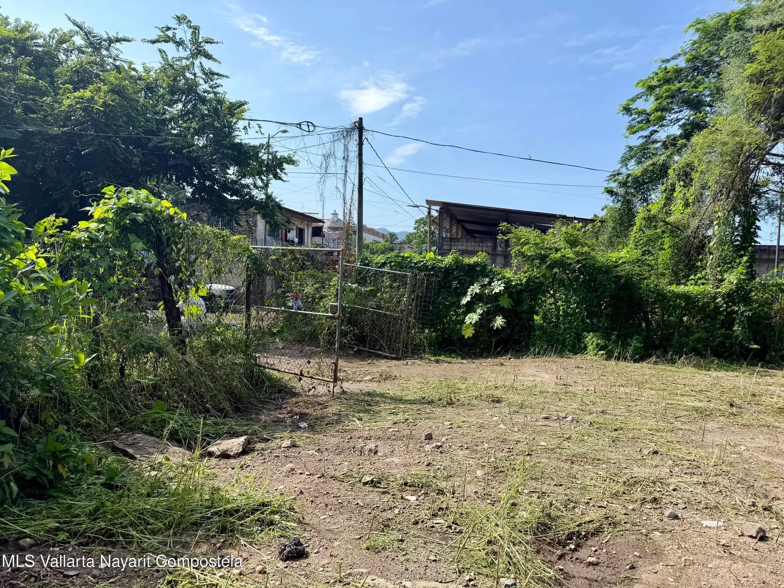 Lote Higuera