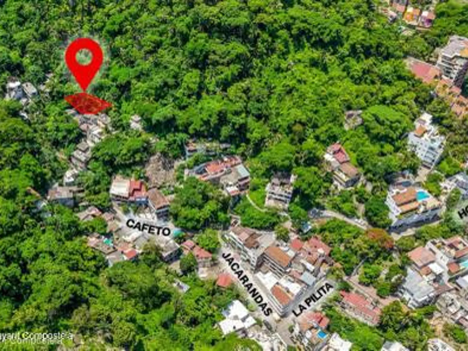 Lote Cuauhtemoc