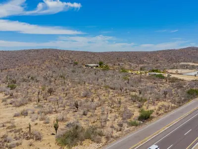 LOTE TODOS SANTOS 12ML