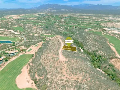 Homesite 4