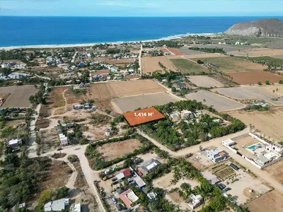 Huerta 28
