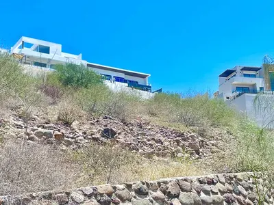 Vista Palmira