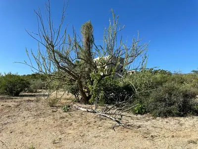 Vista Grande Lot