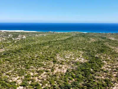 Boca del Salado