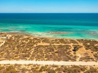 Vinorama/Cabo Pulmo