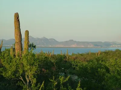 Loma Vista lot