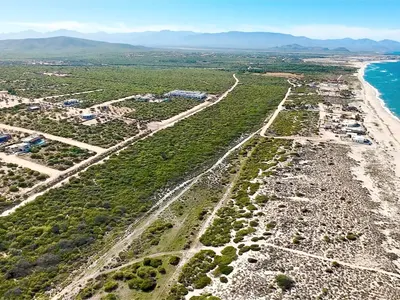 Home Site & Plans