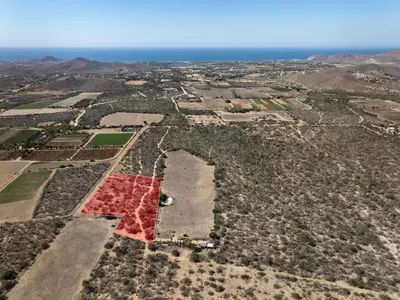 San Simon 3