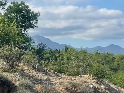 East Cape Developers Dream