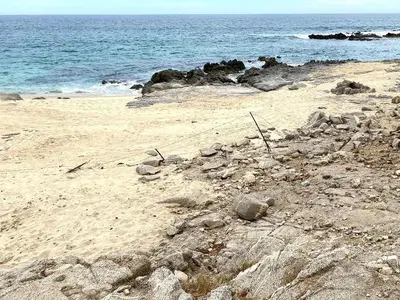 Santa Cruz Oceanfront