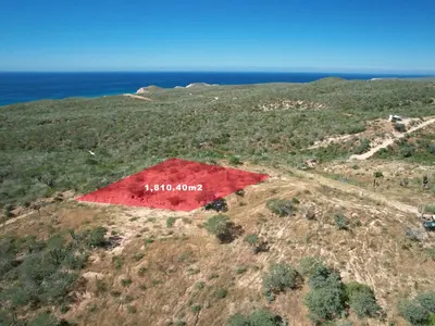 Lot 33