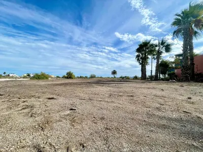 Lot 418