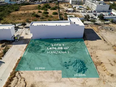LOTE UNO GRANDE CARDONES