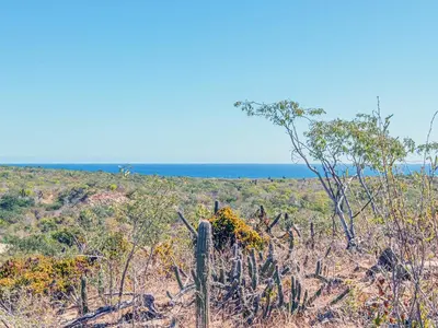 Oceanview lot 6