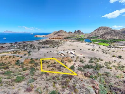 Lot 50 Cardon Danzante Bay