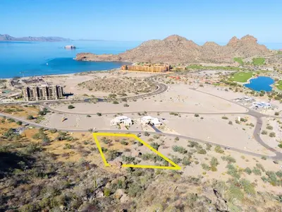 Lot 51 Cardon Danzante Bay