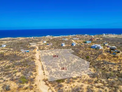 Rancho Tortuga