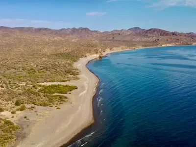 Gulf of San Juanico