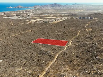 Tezal Hectare