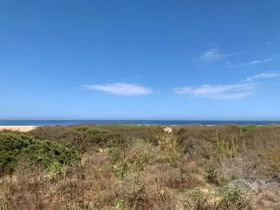 Beachfront Pescadero