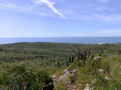 Lote Pedregoso