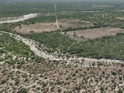 Huertas Santa Cruz