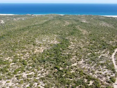 Boca Del Salado