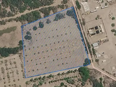 Terreno | Huerto La Ribera