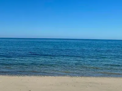 Beachfront Paradise Lot 181