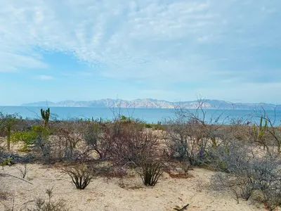 Baja Secret, Lot 1