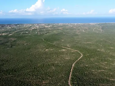 La Tinaja 0007