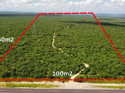 Ranchito San Pedro