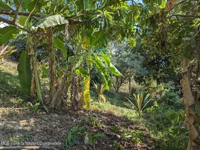 Lote Libertad