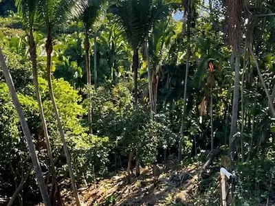 RESIDENCIAL SELVA AZUL LOTE 8