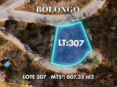 Lote 307