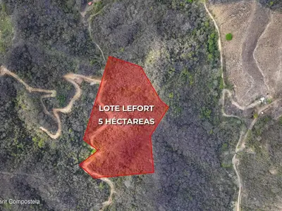 Lote Lefort