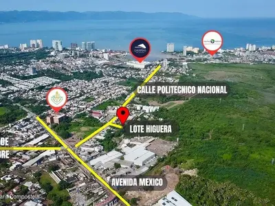 Lote Higuera