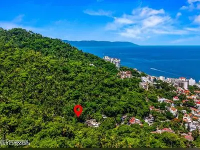 Lote Cuauhtemoc