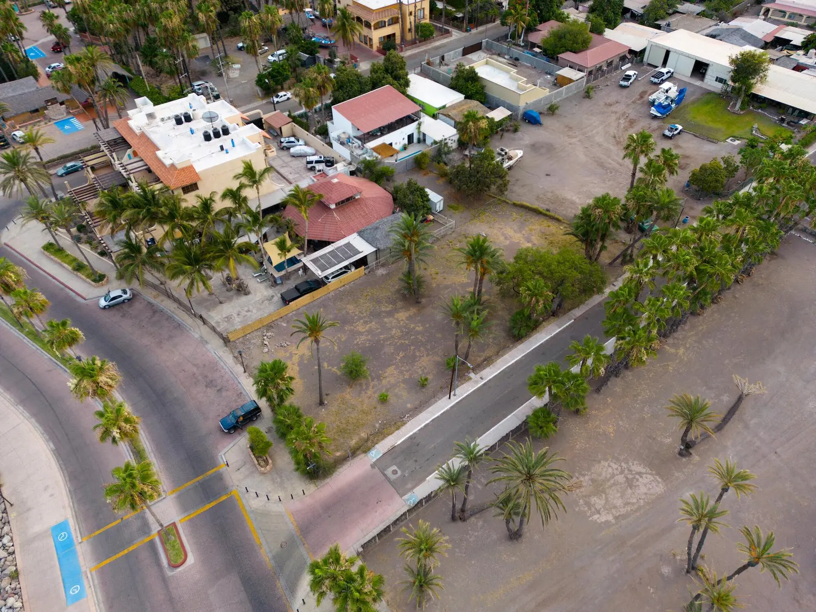 Lote Palma 28