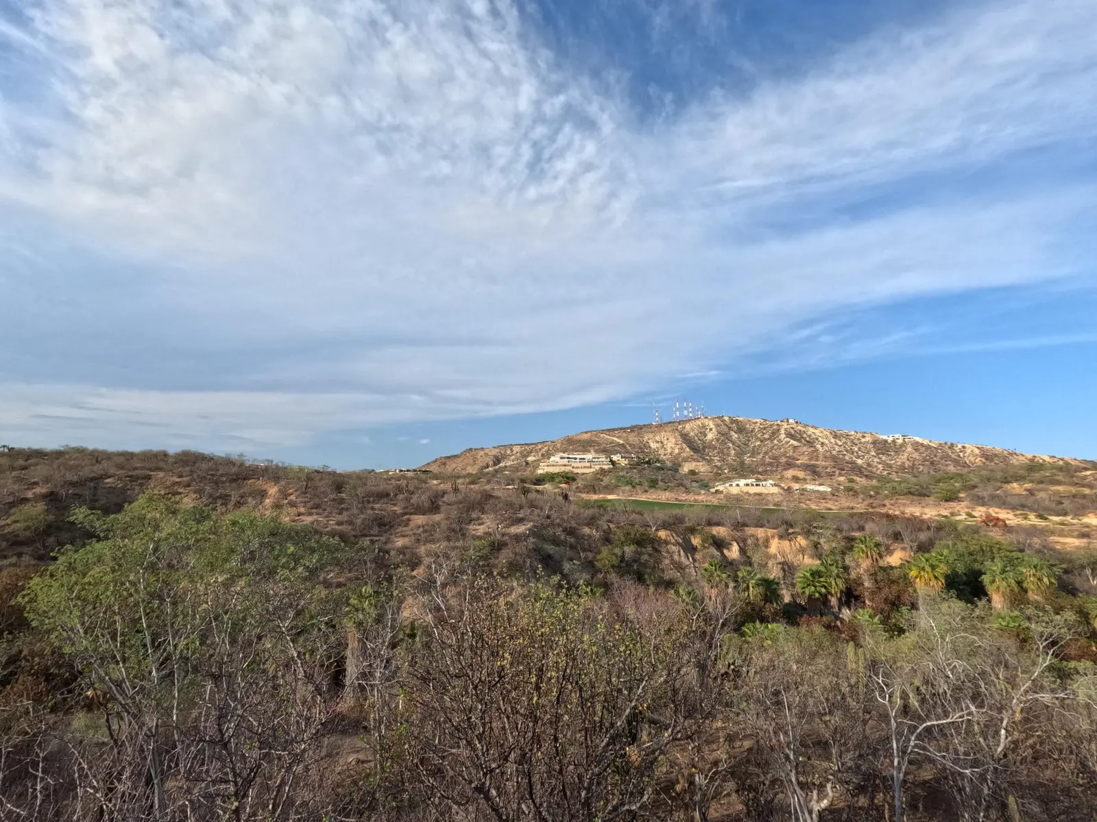 Homesite 4