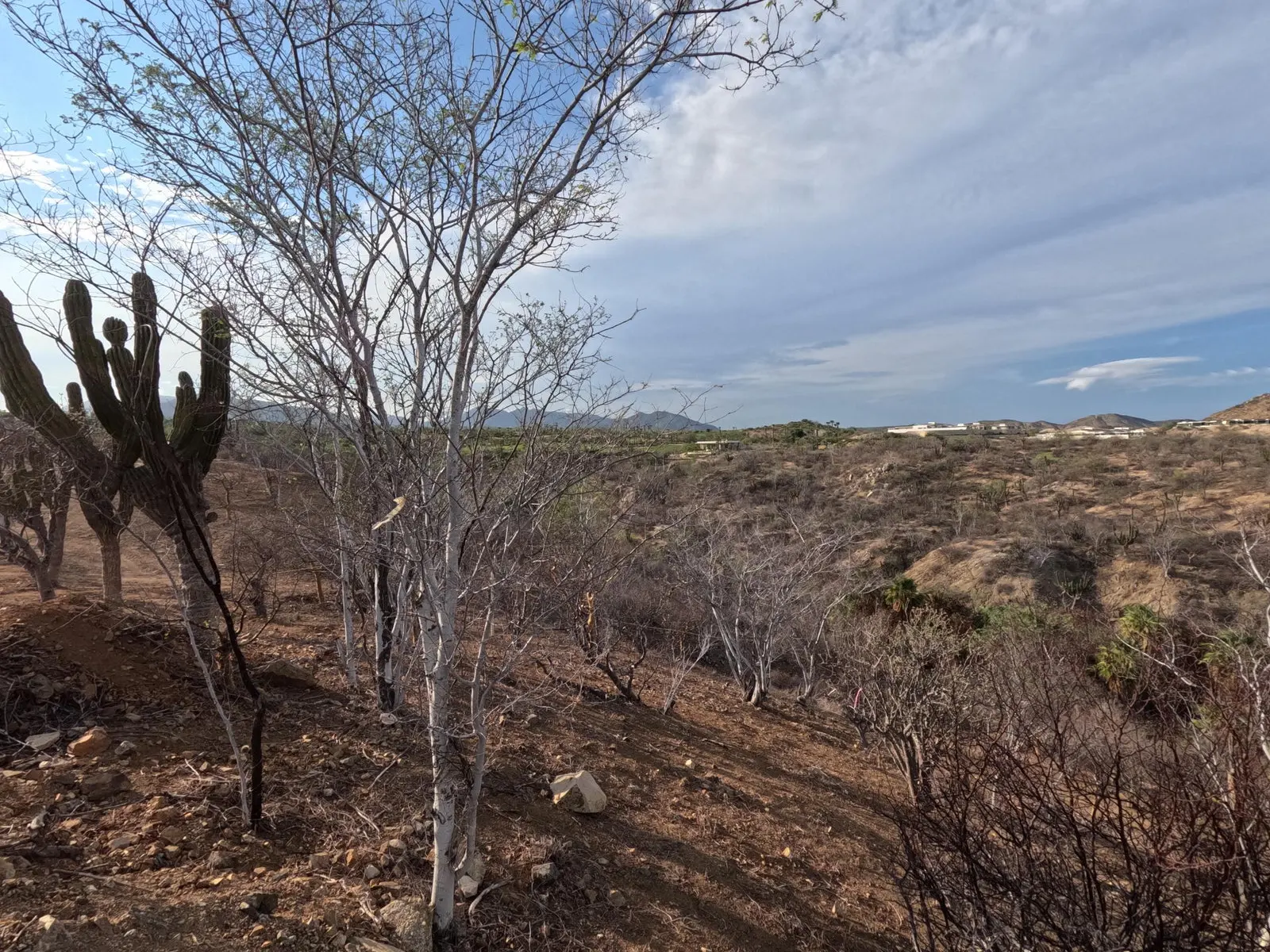 Homesite 2