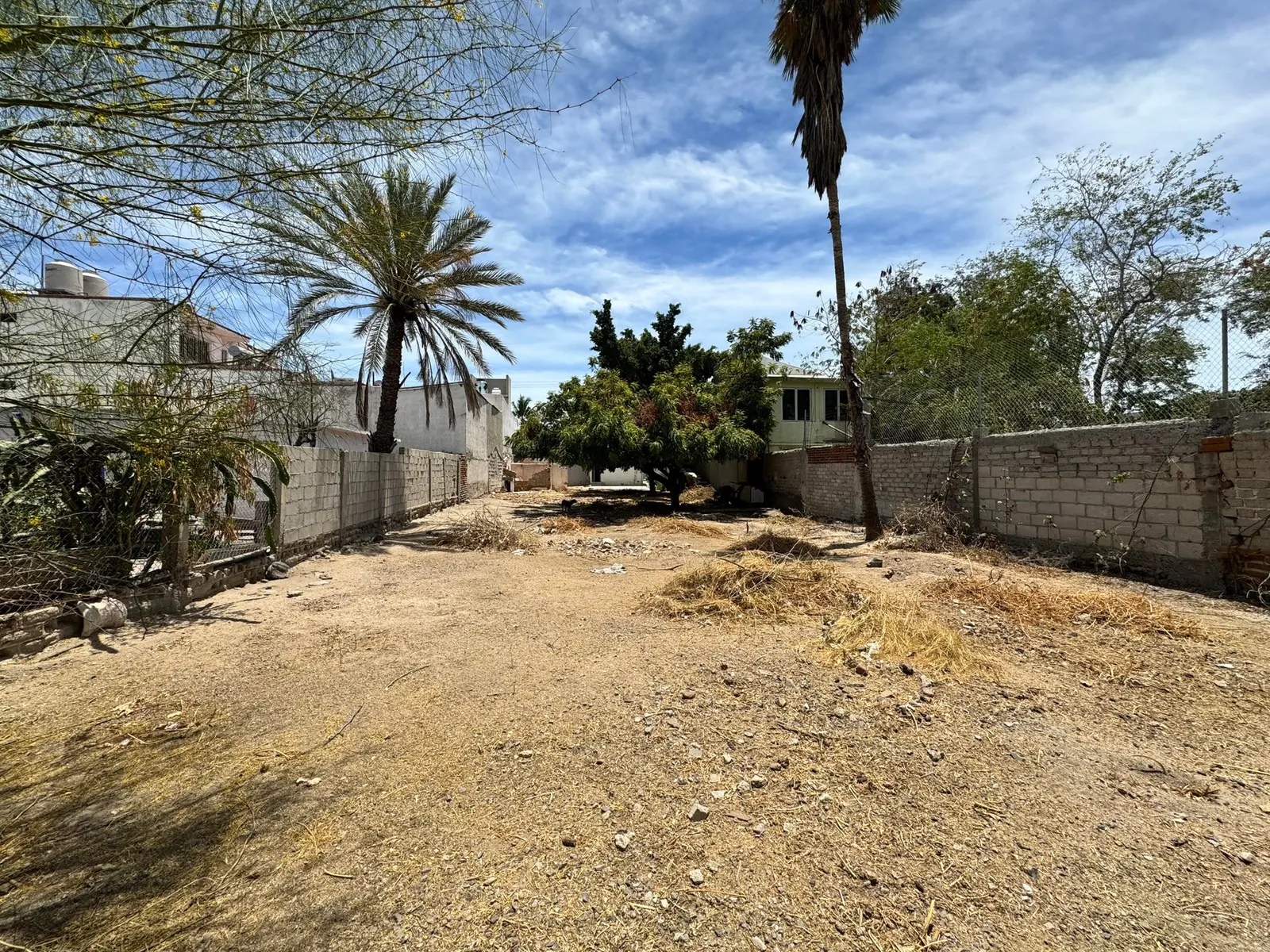 Land in Valentin Gomez Farias